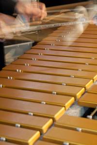 Steve Raybine, vibraphonist and music educator